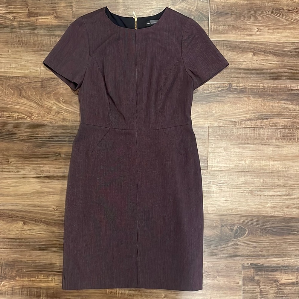 The Limited Dress